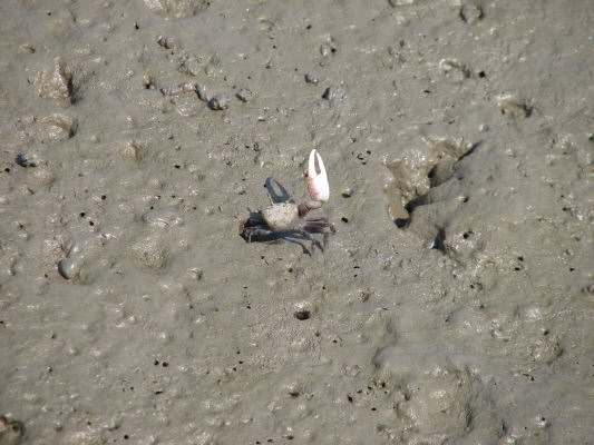 pict0080