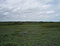 pict0409