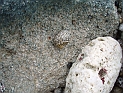 pict0415