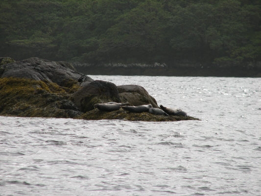 pict0143