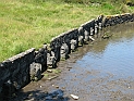 pict0097