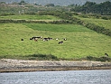 pict0128