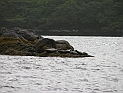 pict0143