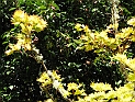 pict0152