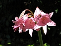 pict0153