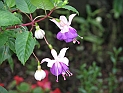 pict0159