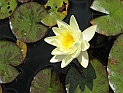 pict0164