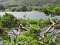 pict0171