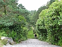 pict0178