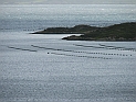 pict0179