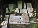 pict0181