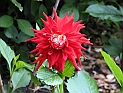 pict0195