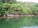 pict0214