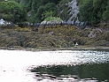 pict0238