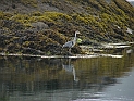 pict0455